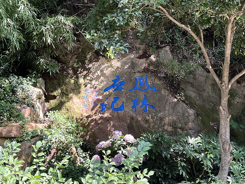 181227HSYHTBYXDZNTJASR.png