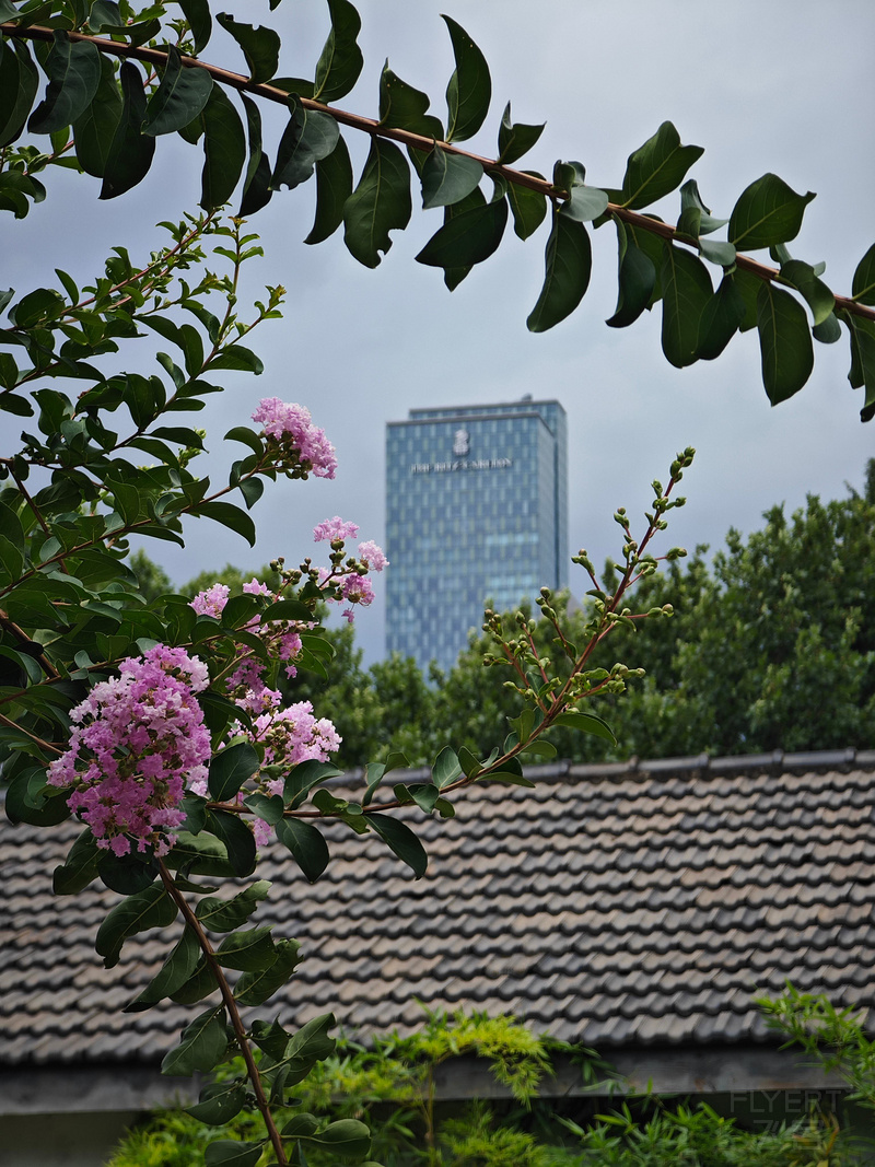 031440LGwsT58eGYAYNpTI.jpg