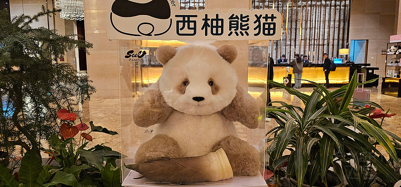 152843jXOyAPUV75v50msH.jpg