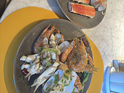 <em>Ƹ</em>֮vocoƵ㻦޼ʾƵTop1