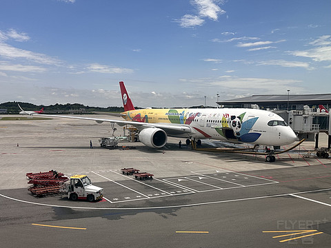 四川航空 3U6795 成都天府TFU-深圳宝安SZX 飞行报告
