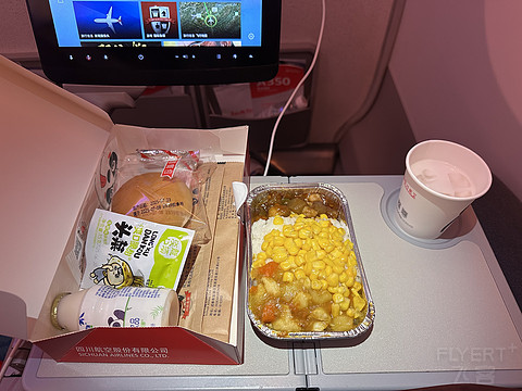 四川航空 3U6795 成都天府TFU-深圳宝安SZX 飞行报告