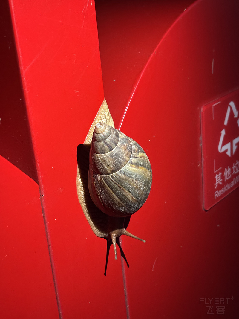 101508ZQAFORFEVNUCMFRQ.png 101508ZQAFORFEVNUCMFRQ.png
