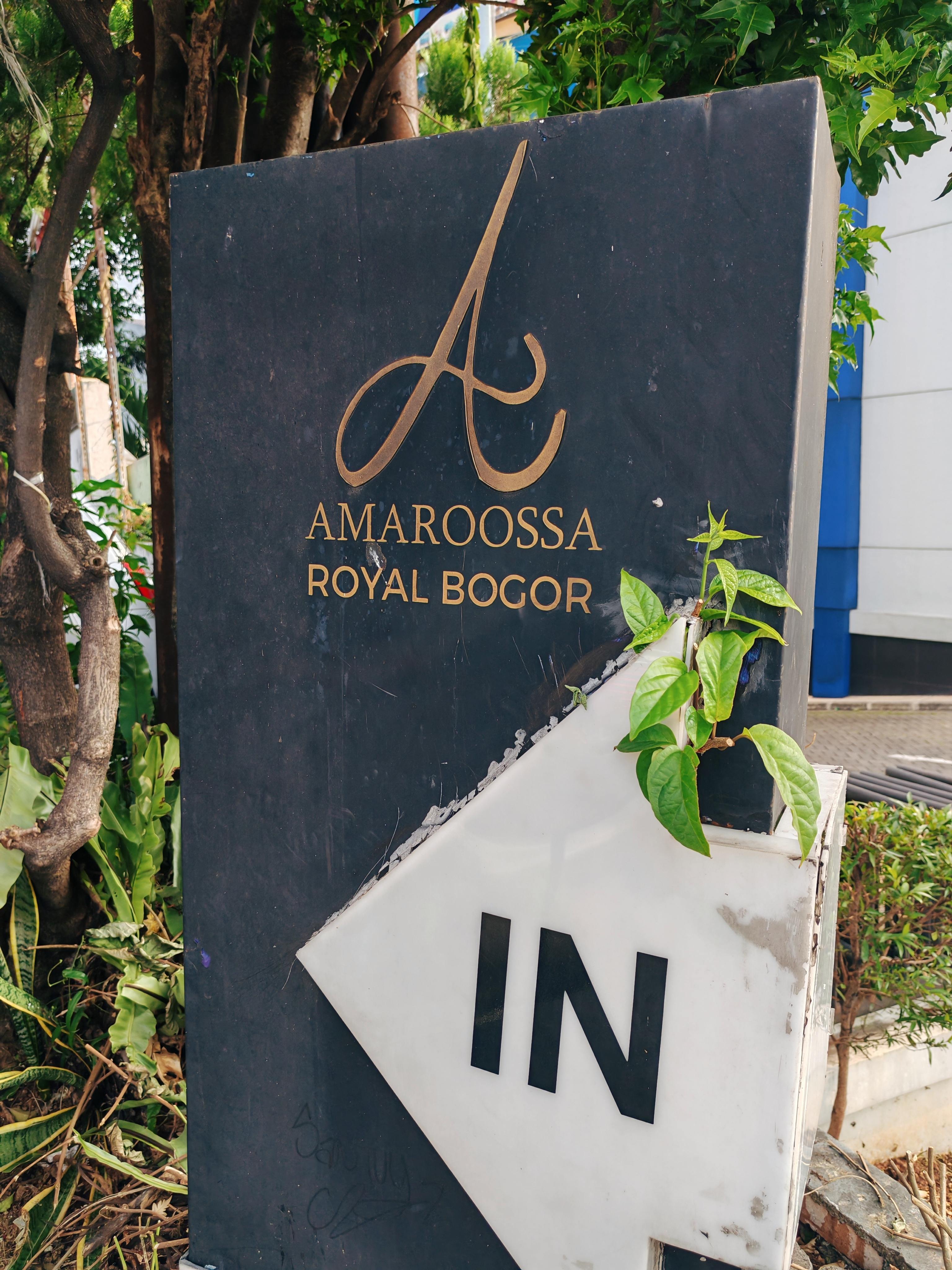 ӡïϵرAmaroossa͢Ƶ