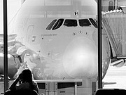 Ϸˡ̫̫̫̫̫ˣA380<em></em>飨70ͼ