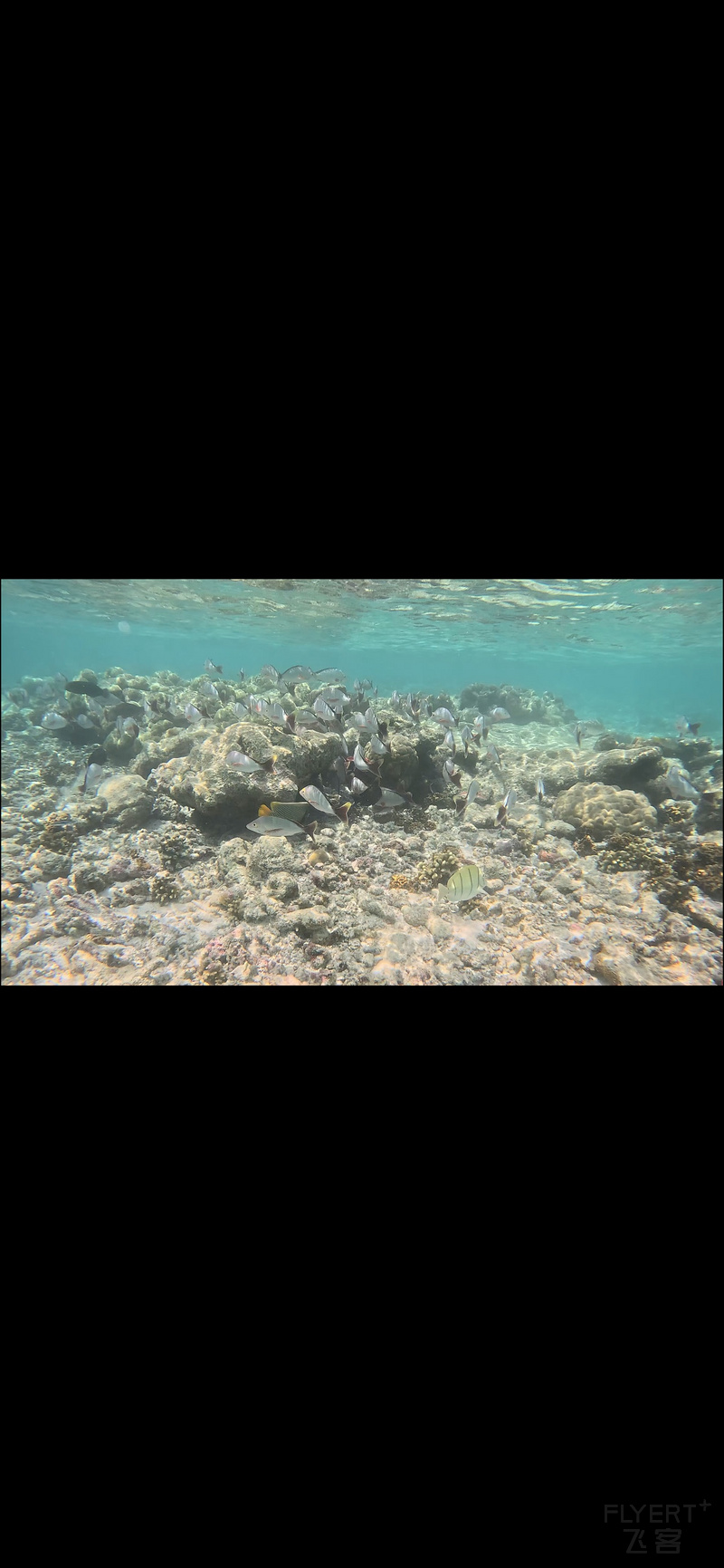 150502ARWFLMMYUICHWUNS.png 150502ARWFLMMYUICHWUNS.png