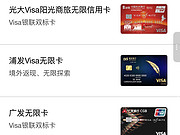 <em>visa</em>޾Ȼû˿