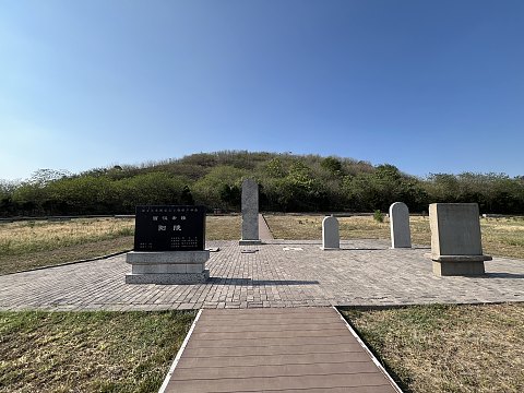 新店又大方·西安伊敦诺富特住宿体验分享