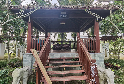 免费早的代价 万宁兴隆华美达温泉度假酒店 海南环岛记录02