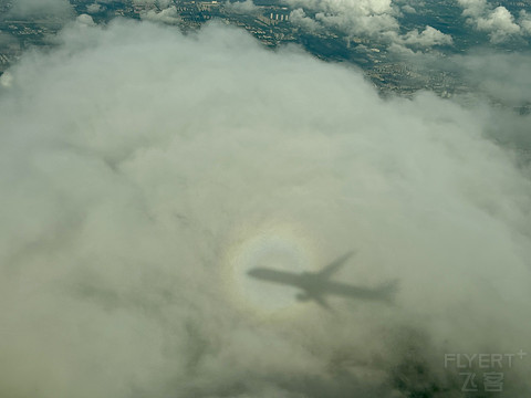 长荣 台北松山-上海虹桥 | B787-10短途商务