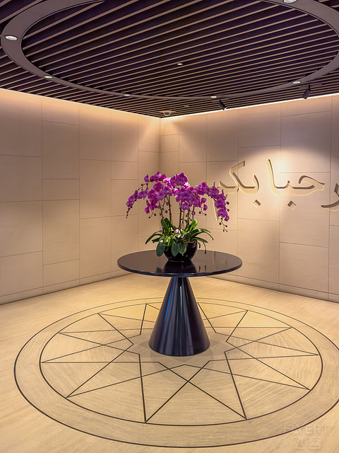 新加坡机场休息室打卡之樟宜/环亚/卡航/澳航 Lounges @ SIN Airport