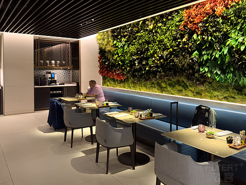新加坡机场休息室打卡之樟宜/环亚/卡航/澳航 Lounges @ SIN Airport