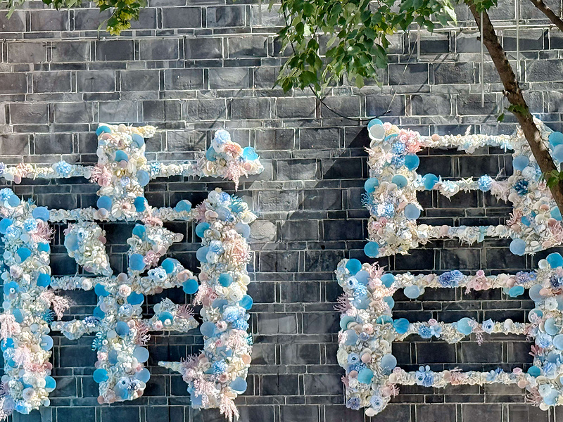 172158XbpW9Gh4JFs7715c.jpg