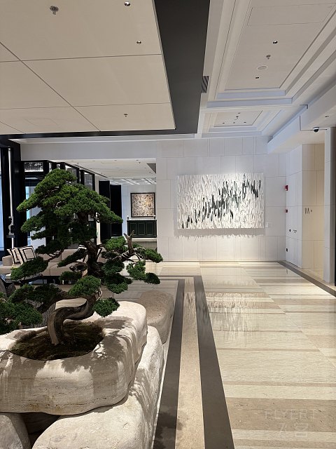 《161F》苏州·丽思 】 投石路问 服务漫漫 山塘远哼 苏式烂漫/2025.10/@TEMO/#细节待完善
