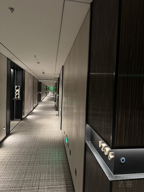 《161F》苏州·丽思 】 投石路问 服务漫漫 山塘远哼 苏式烂漫/2025.10/@TEMO/#细节待完善