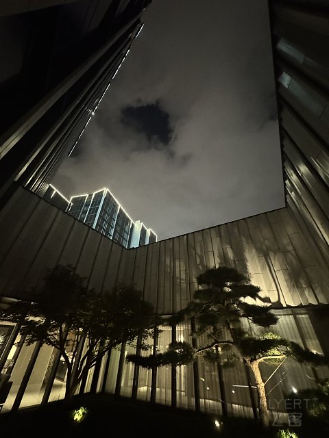 《161F》苏州·丽思 】 投石路问 服务漫漫 山塘远哼 苏式烂漫/2025.10/@TEMO/#细节待完善