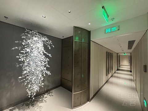 《161F》苏州·丽思 】 投石路问 服务漫漫 山塘远哼 苏式烂漫/2025.10/@TEMO/#细节待完善