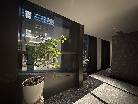 《161F》苏州·丽思 】 投石路问 服务漫漫 山塘远哼 苏式烂漫/2025.10/@TEMO/#细节待完善