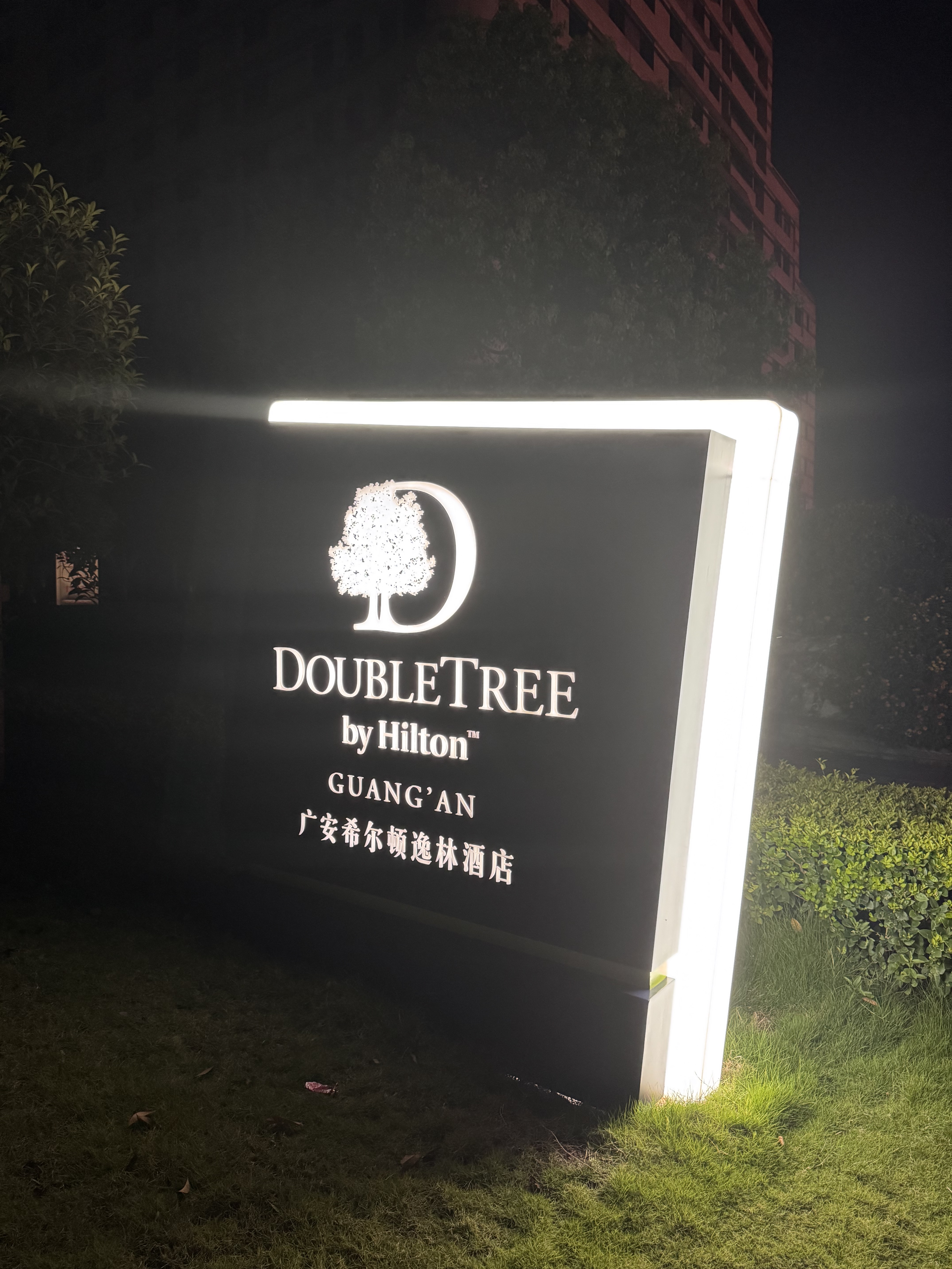 ĴDoubleTreeŰϣ&㰲ϣ