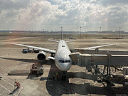 ƶ֮ϵĶͷѲ-MU545(<em>PVG-SIN</em>)