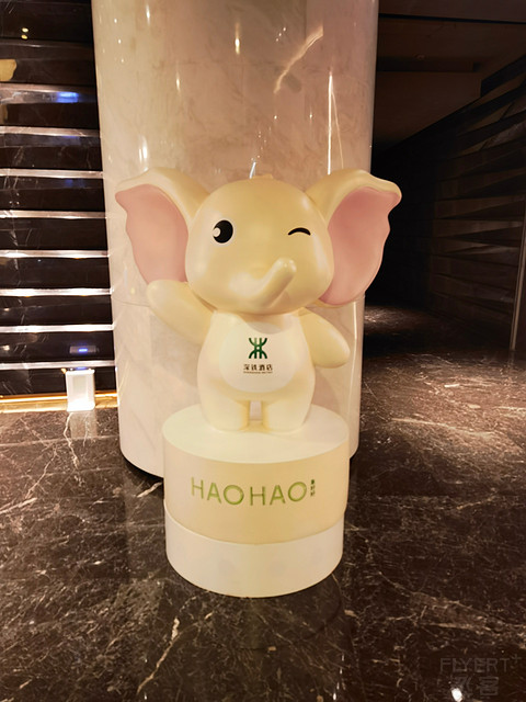 没苦硬吃 - 深圳-湛江往返深航飞行之旅
