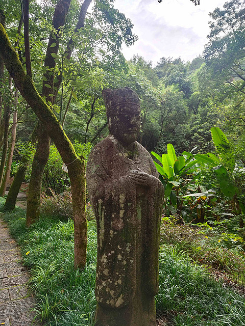 青未了新服首发日，感受武夷山双世遗魅力-山航SC1184深圳宝安SZX-南平武夷山WUS飞行报告