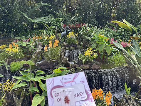 סJEN¼ֲ԰֮Լ-JEN Singapore Tanglin by Shangri-La