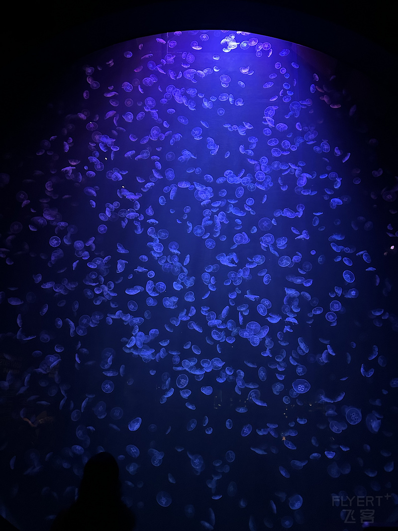 224441XTQHPACUSUTQGWBV.png