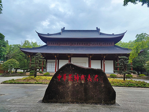 青未了新服首发日，感受武夷山双世遗魅力-山航SC1184深圳宝安SZX-南平武夷山WUS飞行报告