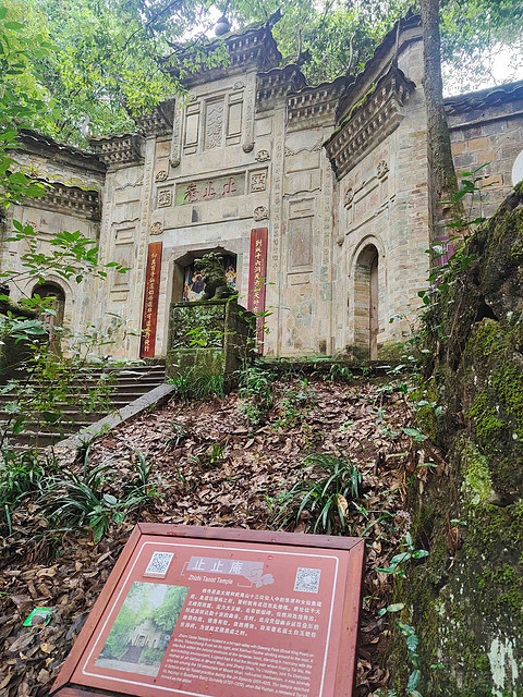青未了新服首发日，感受武夷山双世遗魅力-山航SC1184深圳宝安SZX-南平武夷山WUS飞行报告