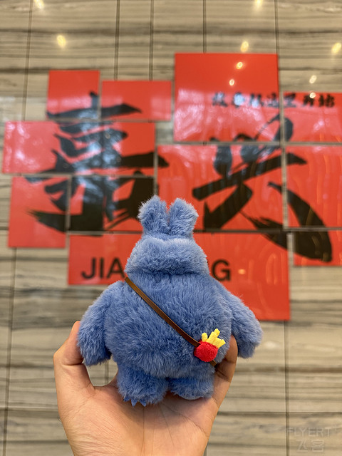 周笔畅嘉兴演唱会生日特别场体验