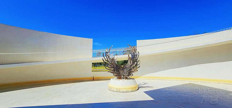 123255gOQAOk5f0v7fFvlJ.jpg