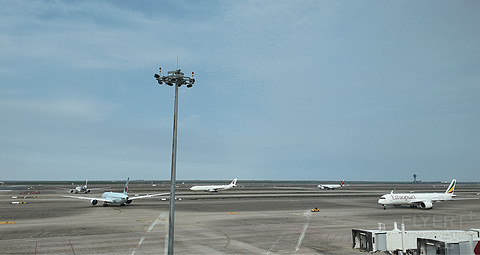 紧张局势下的波斯湾探访记｜海湾航空GF125 上海浦东-巴林麦纳麦