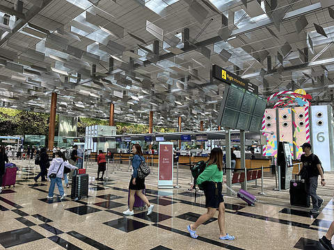 穿行云海，御风而行-SQ836(SIN-PVG)#新加坡航空服务中国内地40周年#