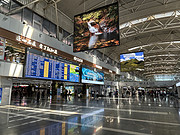 ̨HU7677<em>׶</em>PEK-ɽHGH