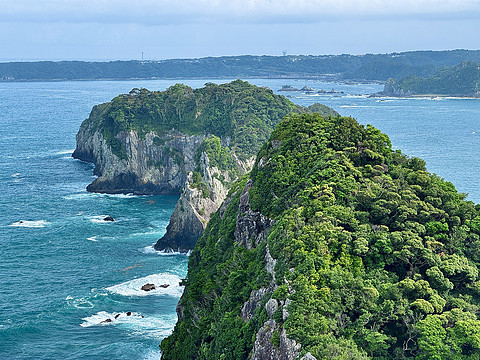 【熊野古道的温泉乡】打卡154：龟乃井那智胜浦温泉酒店海景榻榻米房