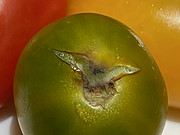 ׷<em></em>ϣٻ԰Ƶ꣬ٲܴף