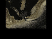 <em>ٷ</em>ڽ