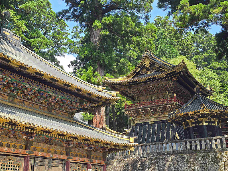 2219197p8CPgAqwuzCNYjo.jpg