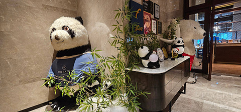 咫尺双城—珠海华发喜来登酒店🏨