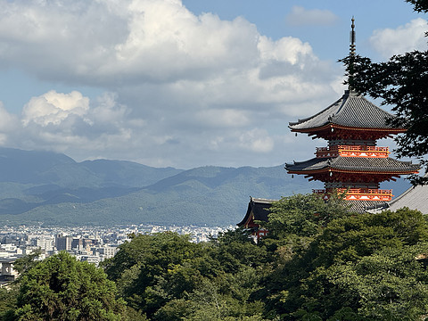 Ӱ - Park Hyatt Kyoto þƵ긽Լo԰ʵ