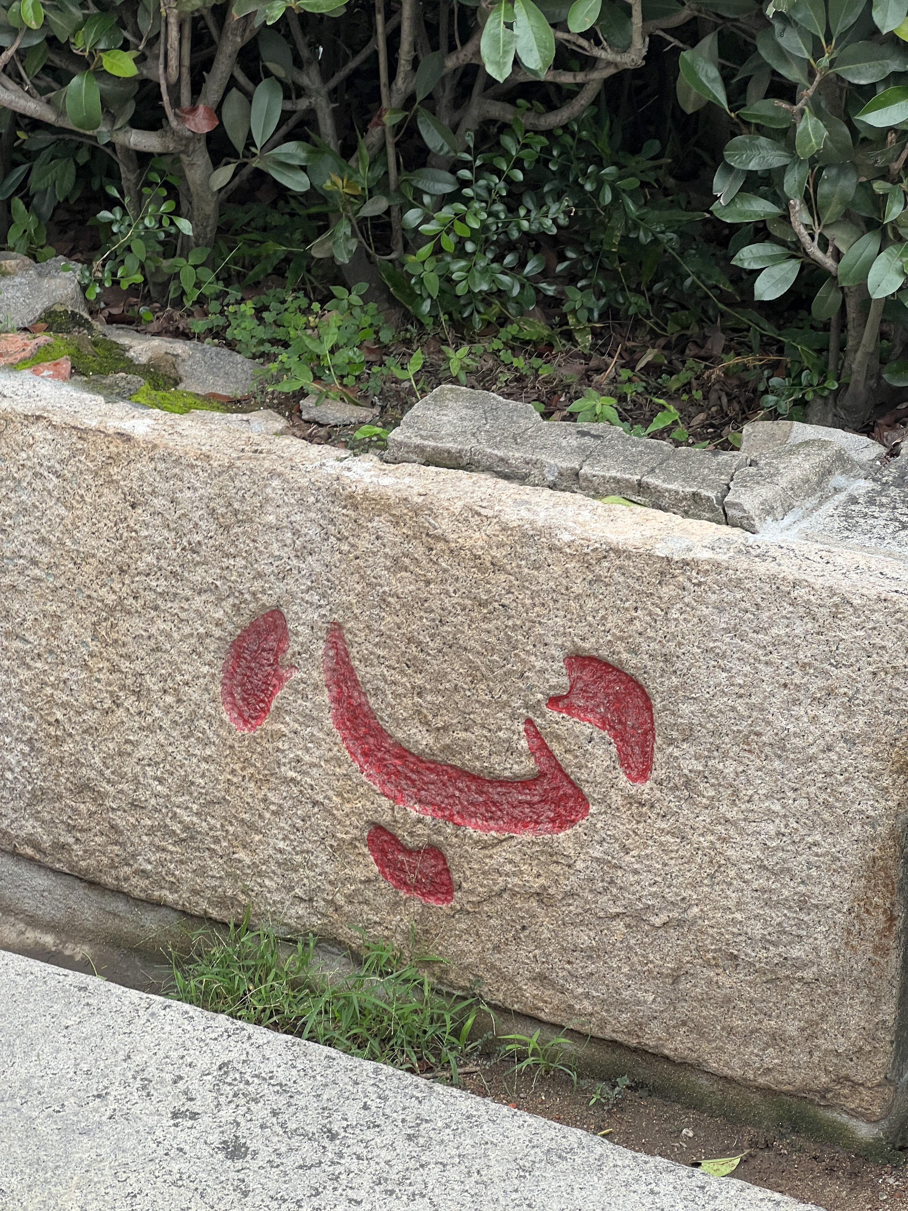 ˿ŻϷ顱Ȫݽµķ԰Ƶס