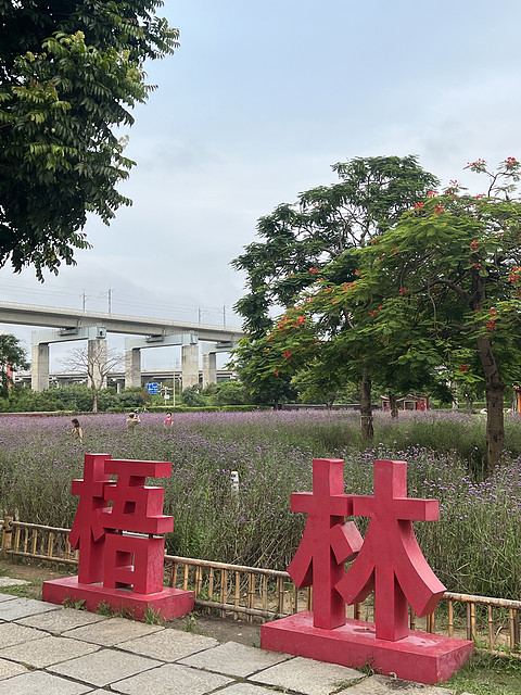“海丝门户，闽南风情”泉州晋江机场温德姆花园酒店入住报告