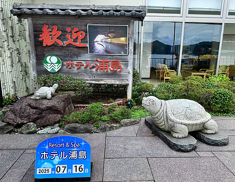 【熊野古道的温泉乡】打卡154：龟乃井那智胜浦温泉酒店海景榻榻米房