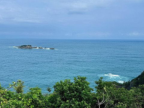 【熊野古道的温泉乡】打卡154：龟乃井那智胜浦温泉酒店海景榻榻米房