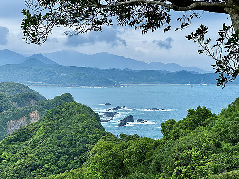 【熊野古道的温泉乡】打卡154：龟乃井那智胜浦温泉酒店海景榻榻米房