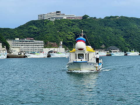 【熊野古道的温泉乡】打卡154：龟乃井那智胜浦温泉酒店海景榻榻米房