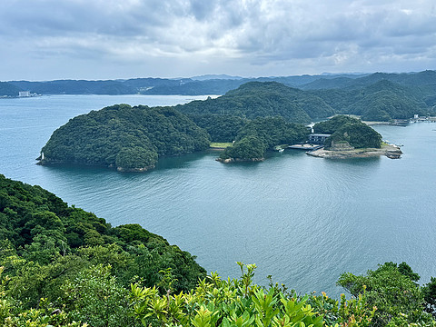 【熊野古道的温泉乡】打卡154：龟乃井那智胜浦温泉酒店海景榻榻米房