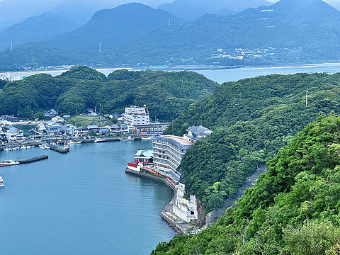 【熊野古道的温泉乡】打卡154：龟乃井那智胜浦温泉酒店海景榻榻米房