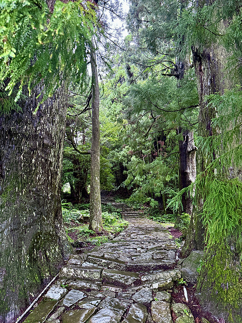 【熊野古道的温泉乡】打卡154：龟乃井那智胜浦温泉酒店海景榻榻米房